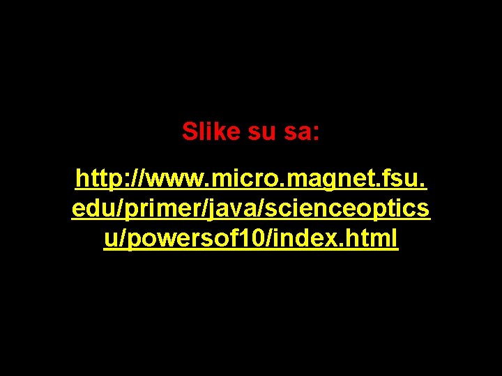 Slike su sa: http: //www. micro. magnet. fsu. edu/primer/java/scienceoptics u/powersof 10/index. html 