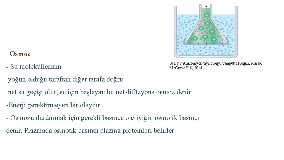 Osmoz - Su moleküllerinin Seely’s Anatomy&Physiology, Vanputte, Regan, Russo, Mc. Graw-Hill, 2014 yoğun olduğu