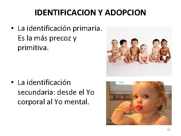 IDENTIFICACION Y ADOPCION • La identificación primaria. Es la más precoz y primitiva. •