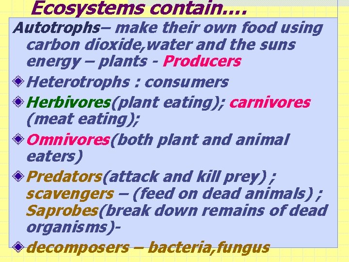Ecosystems contain…. Autotrophs– make their own food using carbon dioxide, water and the suns