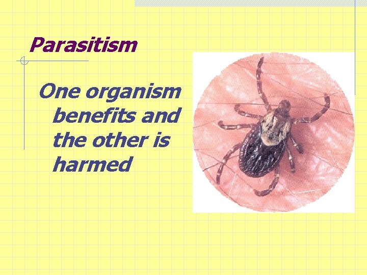 Parasitism One organism benefits and the other is harmed 