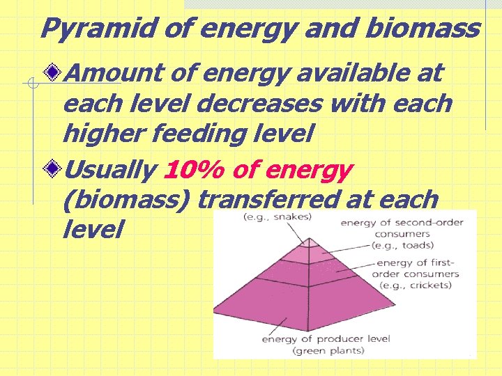 Pyramid of energy and biomass Amount of energy available at each level decreases with