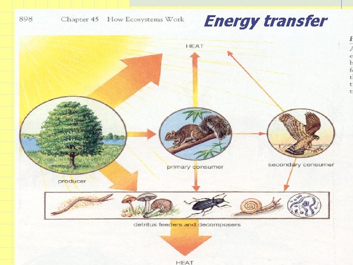 Energy transfer 