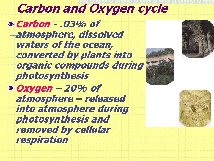 Carbon and Oxygen cycle Carbon -. 03% of atmosphere, dissolved waters of the ocean,