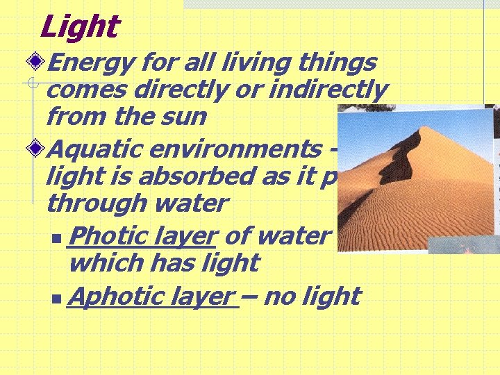 Light Energy for all living things comes directly or indirectly from the sun Aquatic