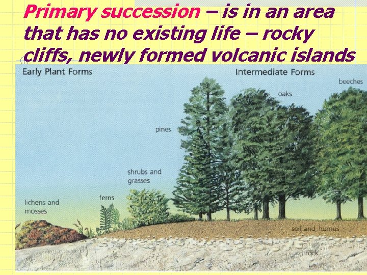 Primary succession – is in an area that has no existing life – rocky