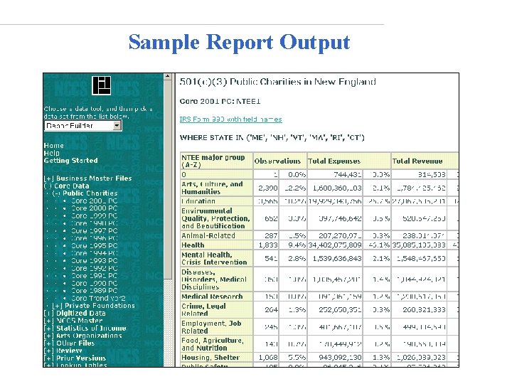 Sample Report Output 