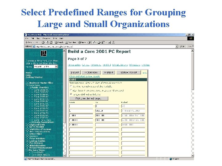 Select Predefined Ranges for Grouping Large and Small Organizations 