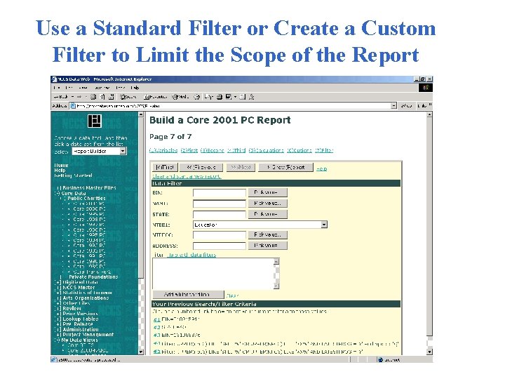 Use a Standard Filter or Create a Custom Filter to Limit the Scope of