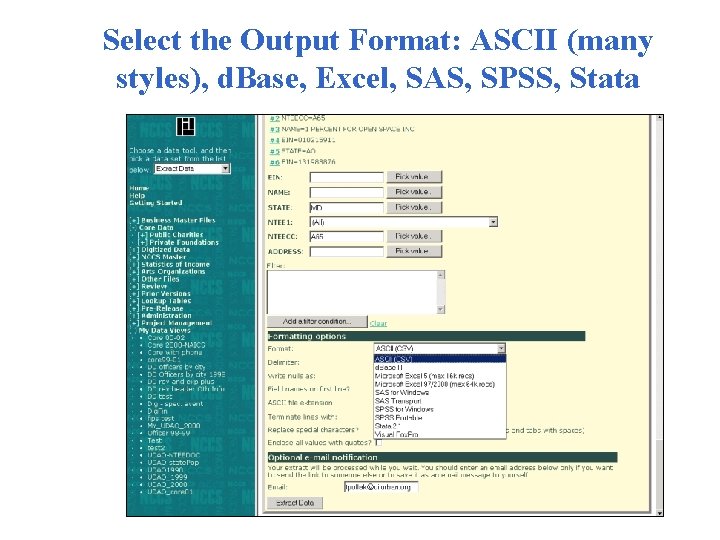 Select the Output Format: ASCII (many styles), d. Base, Excel, SAS, SPSS, Stata 