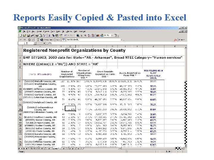 Reports Easily Copied & Pasted into Excel 