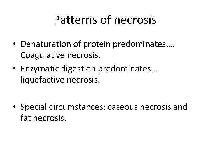 Patterns of necrosis • Denaturation of protein predominates…. Coagulative necrosis. • Enzymatic digestion predominates…