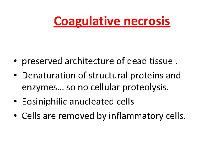 Coagulative necrosis • preserved architecture of dead tissue. • Denaturation of structural proteins and