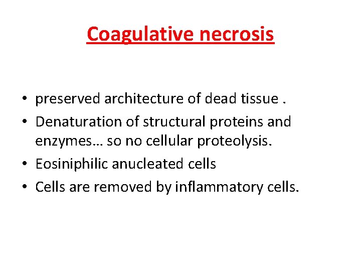 Coagulative necrosis • preserved architecture of dead tissue. • Denaturation of structural proteins and
