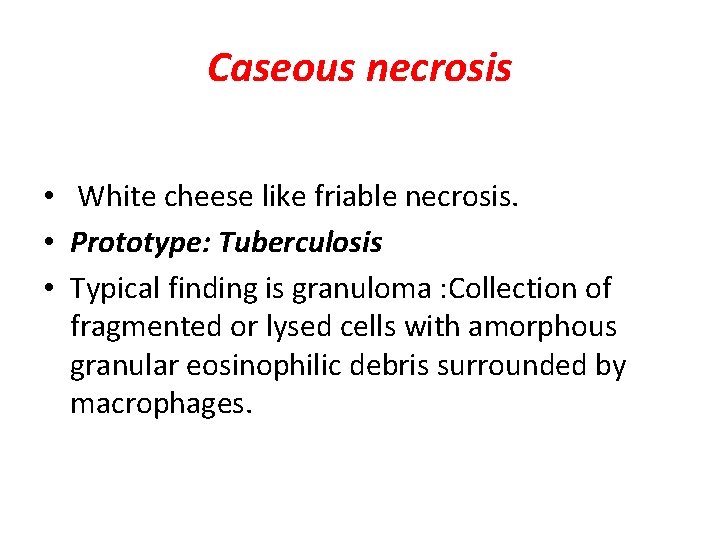 Caseous necrosis • White cheese like friable necrosis. • Prototype: Tuberculosis • Typical finding