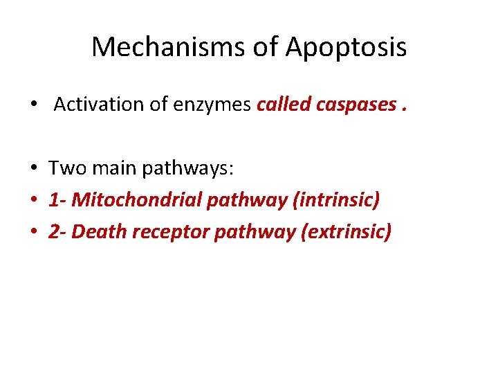 Mechanisms of Apoptosis • Activation of enzymes called caspases. • Two main pathways: •