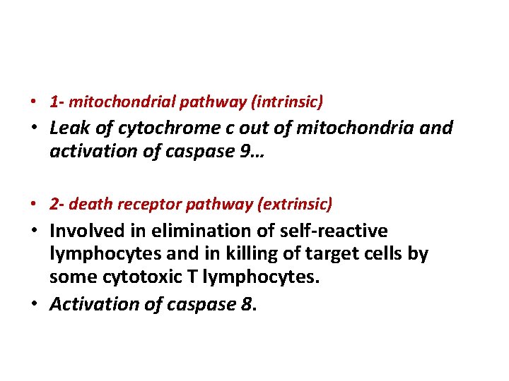  • 1 - mitochondrial pathway (intrinsic) • Leak of cytochrome c out of