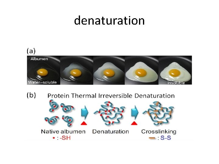 denaturation 