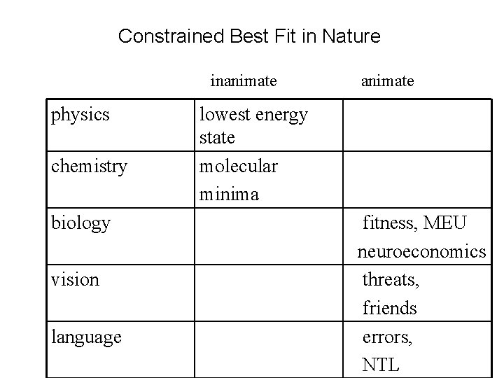 Constrained Best Fit in Nature inanimate physics chemistry biology vision language animate lowest energy