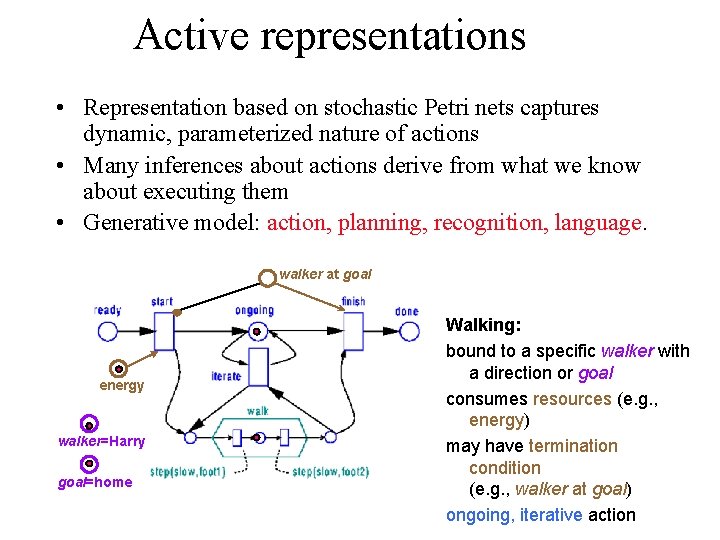 Active representations • Representation based on stochastic Petri nets captures dynamic, parameterized nature of