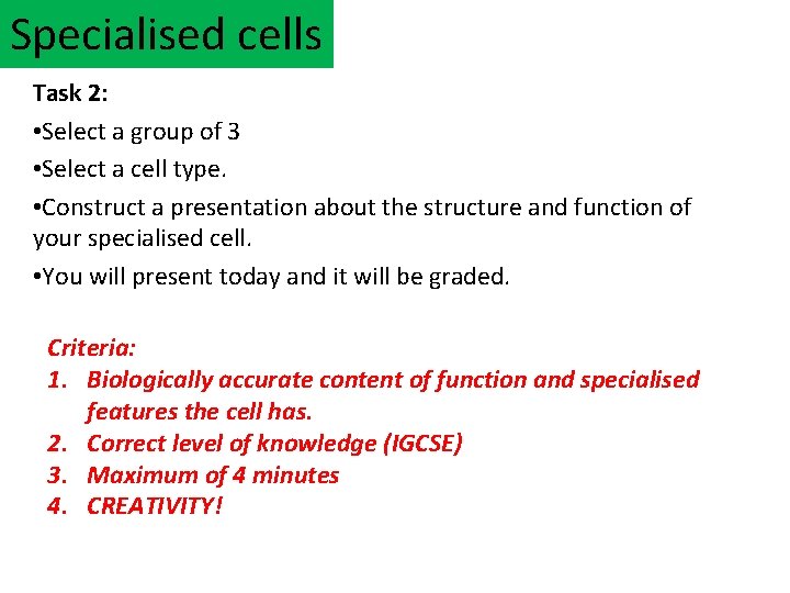 Specialised cells Task 2: • Select a group of 3 • Select a cell