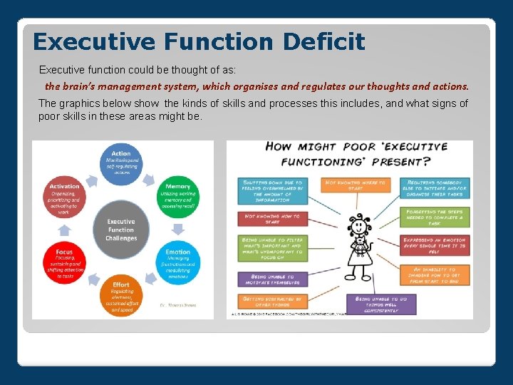 Executive Function Deficit Executive function could be thought of as: the brain’s management system,