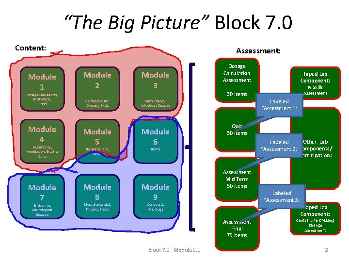 “The Big Picture” Block 7. 0 Content: Module 1 Dosage Calculation, IV Therapy, Blood