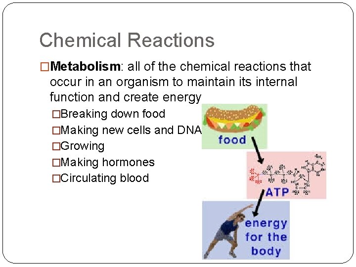 Chemical Reactions �Metabolism: all of the chemical reactions that occur in an organism to