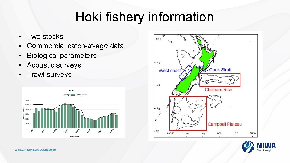 Hoki fishery information • • • Two stocks Commercial catch-at-age data Biological parameters Acoustic