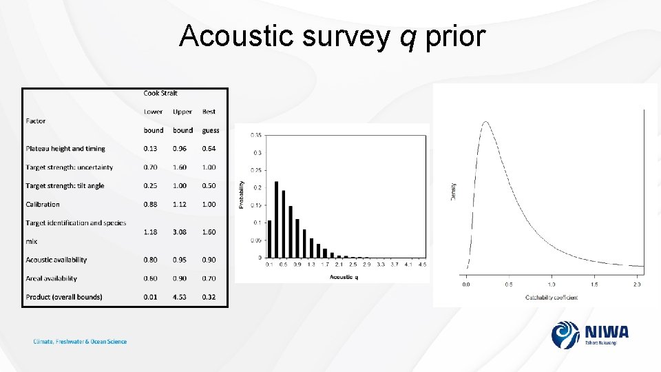 Acoustic survey q prior 