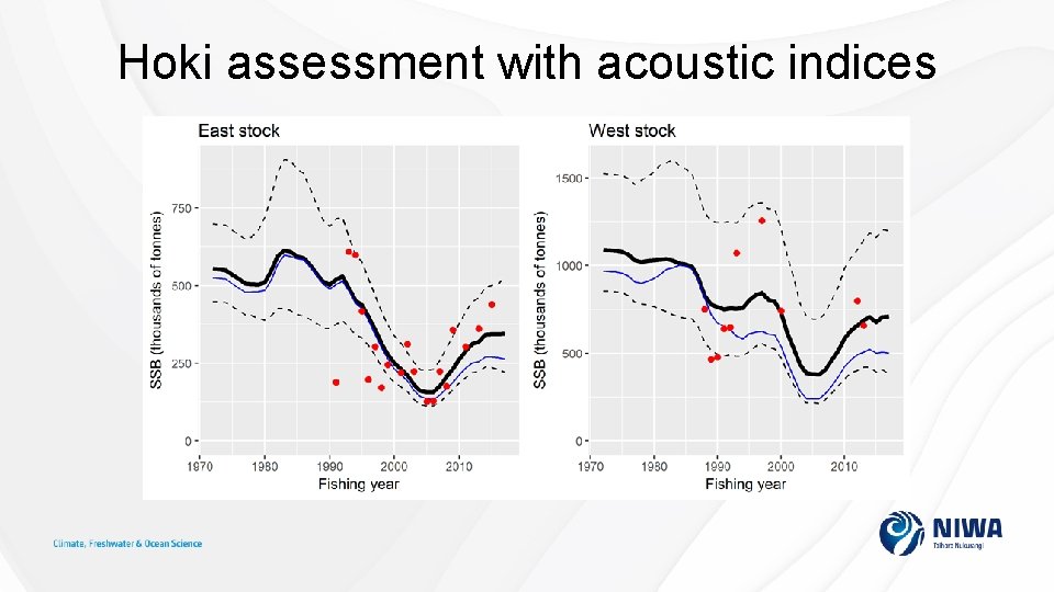 Hoki assessment with acoustic indices 