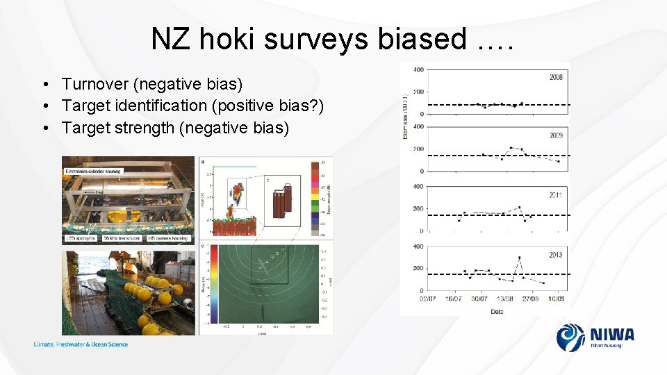 NZ hoki surveys biased …. • Turnover (negative bias) • Target identification (positive bias?