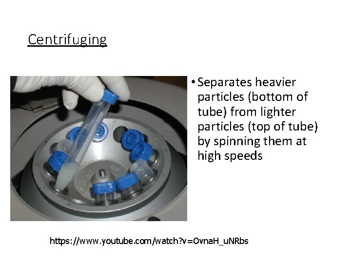 Centrifuging • Separates heavier particles (bottom of tube) from lighter particles (top of tube)