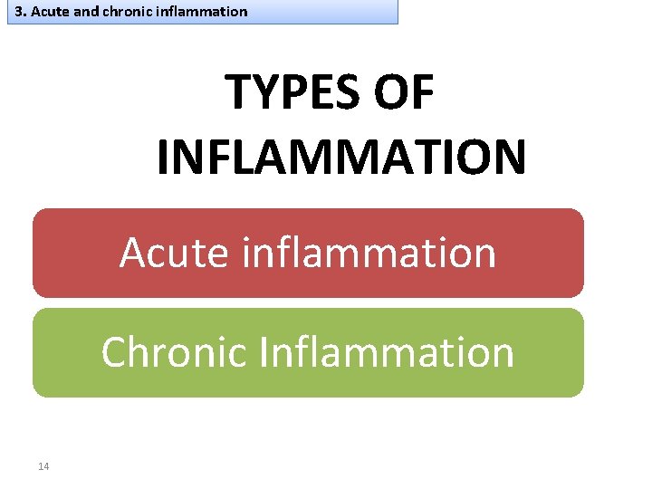 3. Acute and chronic inflammation TYPES OF INFLAMMATION Acute inflammation Chronic Inflammation 14 