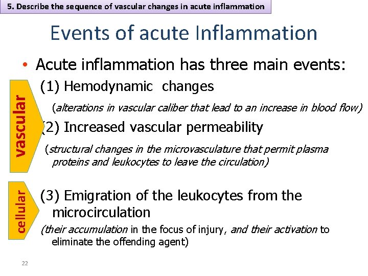 5. Describe the sequence of vascular changes in acute inflammation Events of acute Inflammation