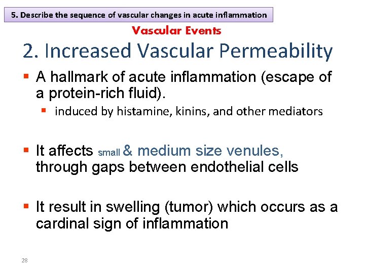 5. Describe the sequence of vascular changes in acute inflammation Vascular Events 2. Increased