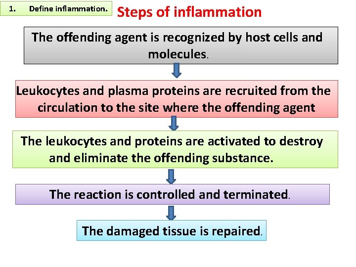 1. Define inflammation. Steps of inflammation The offending agent is recognized by host cells