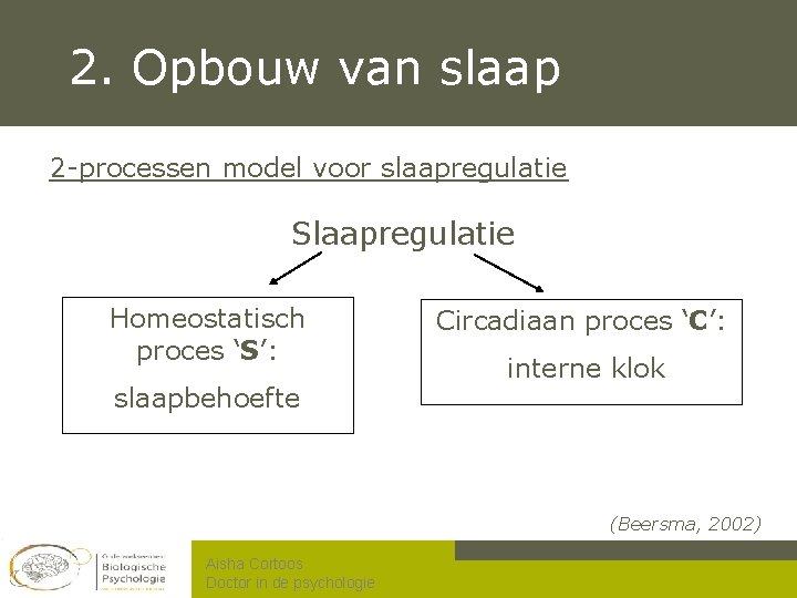 2. Opbouw van slaap 2 -processen model voor slaapregulatie Slaapregulatie Homeostatisch proces ‘S’: slaapbehoefte