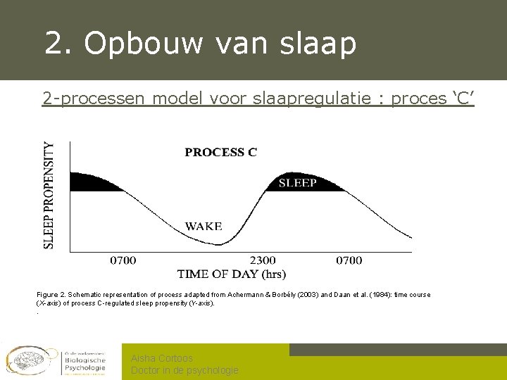 2. Opbouw van slaap 2 -processen model voor slaapregulatie : proces ‘C’ Figure 2.