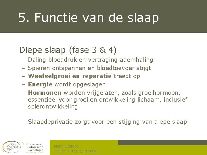 5. Functie van de slaap Diepe slaap (fase 3 & 4) – – –