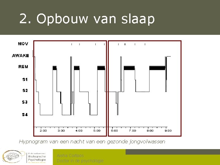 2. Opbouw van slaap Hypnogram van een nacht van een gezonde jongvolwassen Aisha Cortoos