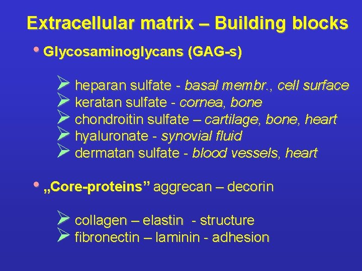 Extracellular matrix – Building blocks • Glycosaminoglycans (GAG-s) Ø heparan sulfate - basal membr.