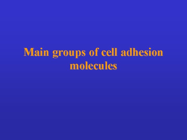 Main groups of cell adhesion molecules 