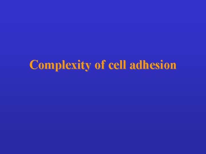 Complexity of cell adhesion 