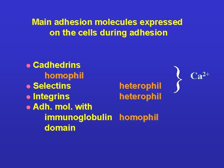 Main adhesion molecules expressed on the cells during adhesion { Cadhedrins homophil l Selectins