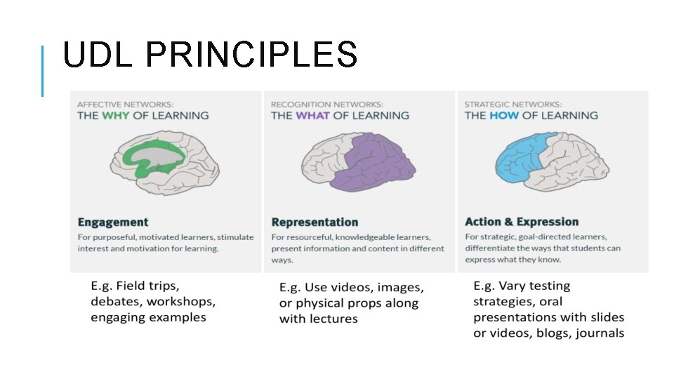 UDL PRINCIPLES  UDL PRINCIPLES
