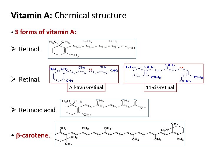 Vitamin A: Chemical structure • 3 forms of vitamin A: Ø Retinol. Ø Retinal.