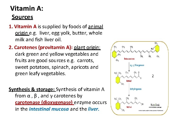 Vitamin A: Sources 1. Vitamin A is supplied by foods of animal origin e.