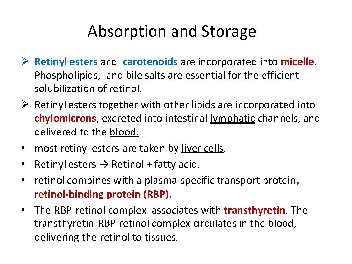 Absorption and Storage Ø Retinyl esters and carotenoids are incorporated into micelle. Phospholipids, and