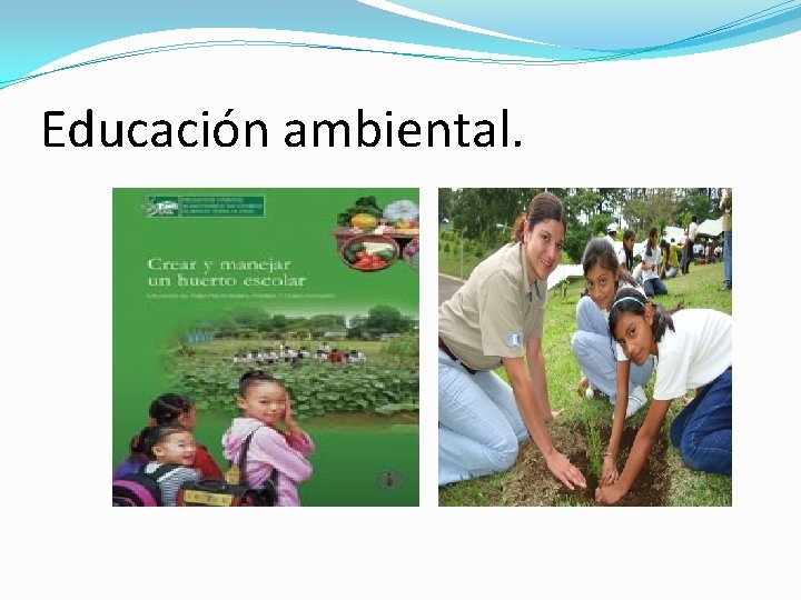 Educación ambiental. 